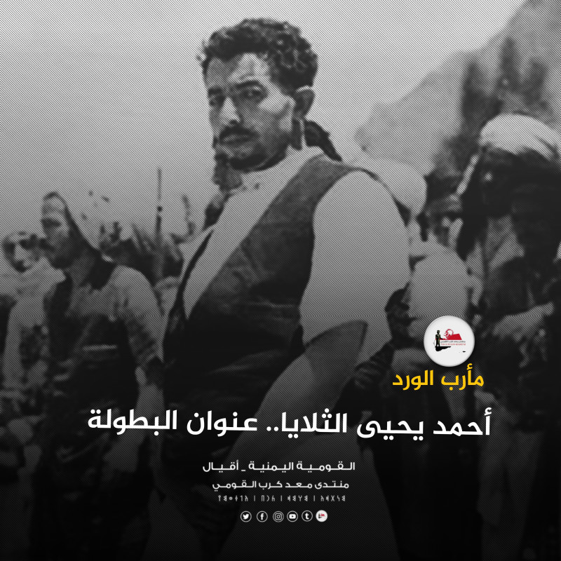 أحمد يحيى الثلايا.. عنوان البطولة