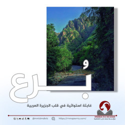 بُرع .. غابئة استوائية في قلب الجزيرة العربية